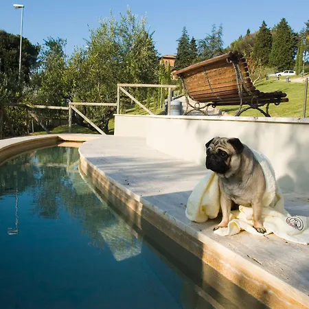Fonteverde Lifestyle & Thermal Retreat - The Leading Of The World